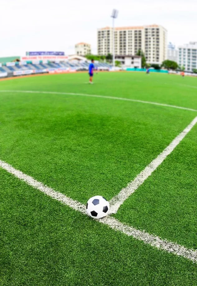 축구 잔디